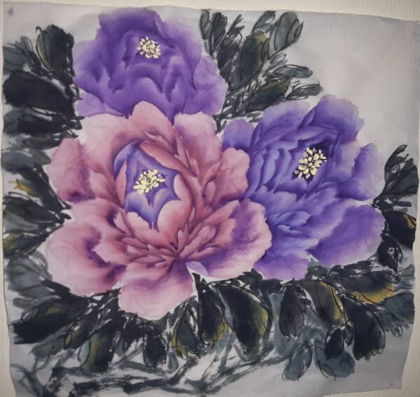 Violet peonies, December 2024